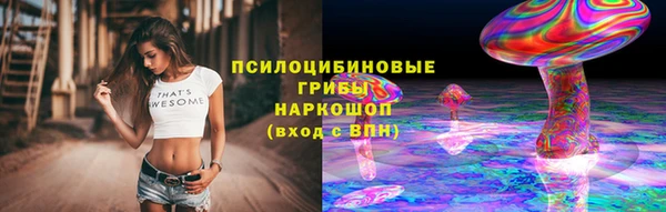 apvp Алексин
