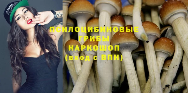 apvp Алексин