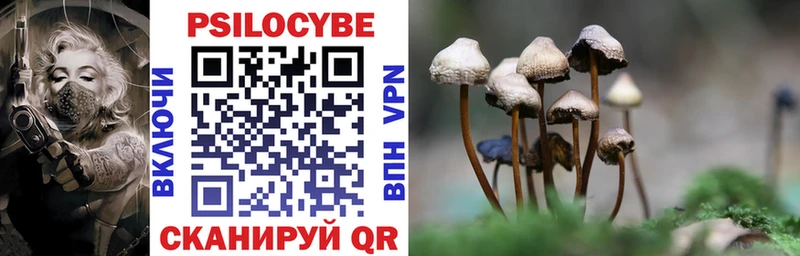 Псилоцибиновые грибы GOLDEN TEACHER  Себеж 